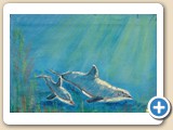 Dolphin_Family