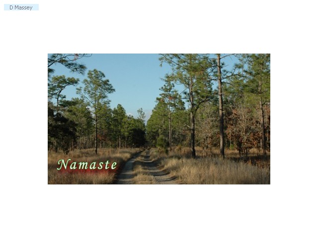 Namaste Croomes Wilderness 