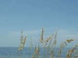 Image for Website