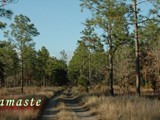 Namaste Croomes Wilderness 